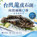 台灣龍虎石斑 【600/700g】公司挺漁民，優惠賣⭐️三尾999元，四尾1200元⭐️