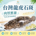 台灣龍虎石斑 【600/700g】公司挺漁民，優惠賣☻87折單尾優惠價☻_3