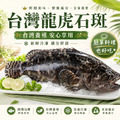 台灣龍虎石斑 【600/700g】公司挺漁民，優惠賣⭐️三尾999元，四尾1200元⭐️_1