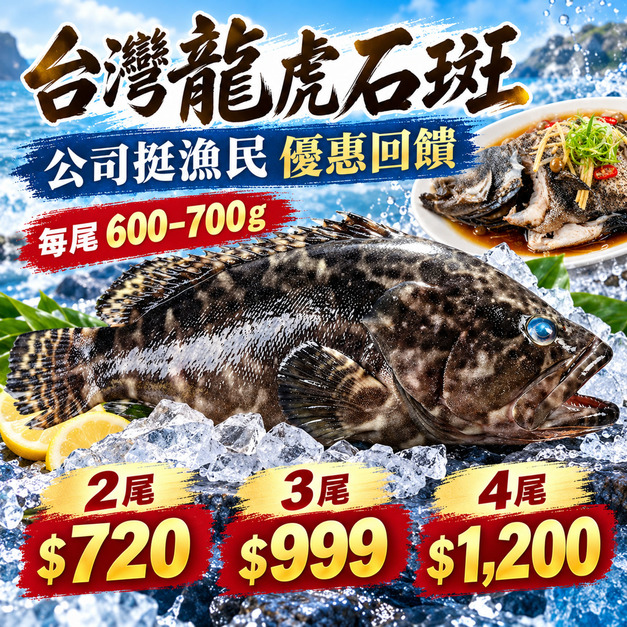 台灣龍虎石斑 【600/700g】公司挺漁民，優惠賣⭐️兩尾720元，三尾999元，四尾1200元⭐️