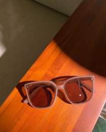 第Ｎ支墨鏡但是是茶色的