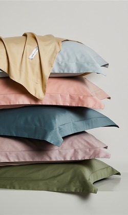 100支單股新疆長絨棉 10色 枕套