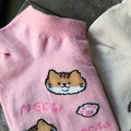 ｜韓國襪｜貓貓女生襪 短襪 船型襪_1