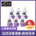 【6入組】 輕身体艷小蒼蘭香水洗衣精 2000ml/g_2