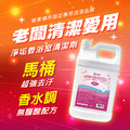 4KG金能洗淨垢香浴廁清潔劑