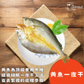 黃魚一夜干