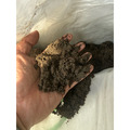 【免拌土，開袋即用！】嚴選 萬用植物砂質壤土（25kg）