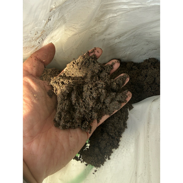【免拌土，開袋即用！】嚴選 萬用植物砂質壤土（25kg）