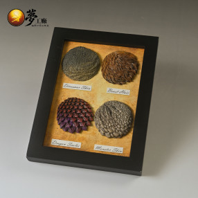 【夢工廠模型】皮紋樣品-四入上色款 | 毛髮、皮膚、鱗片、戰甲皮紋模型參考