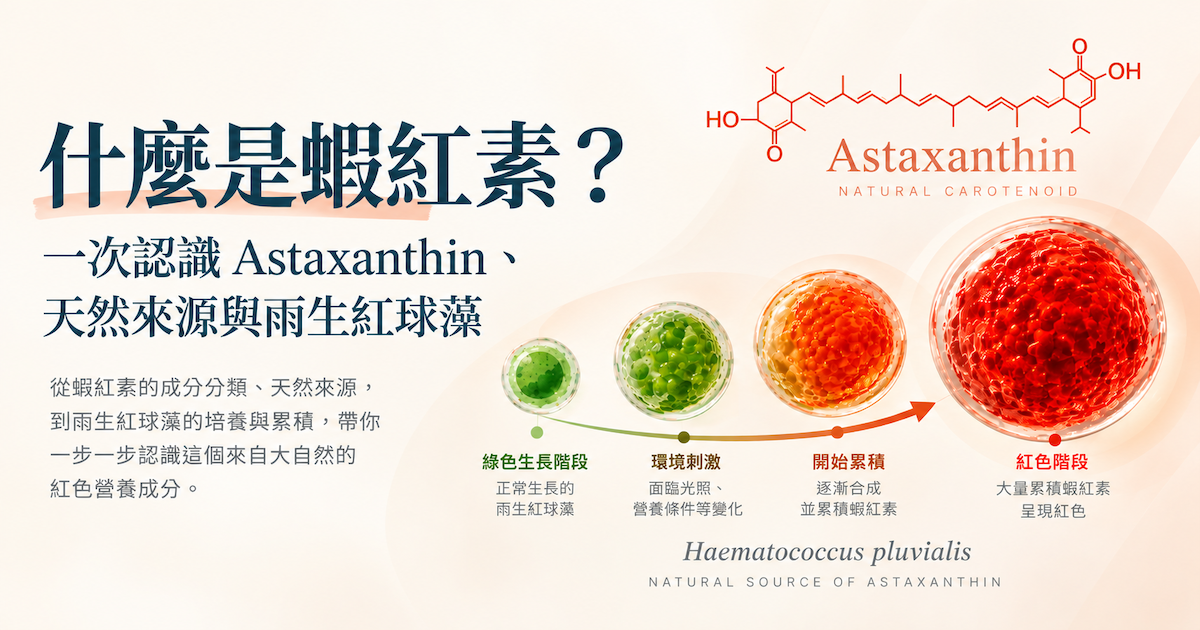 什麼是蝦紅素？一次認識 Astaxanthin、天然來源與雨生紅球藻