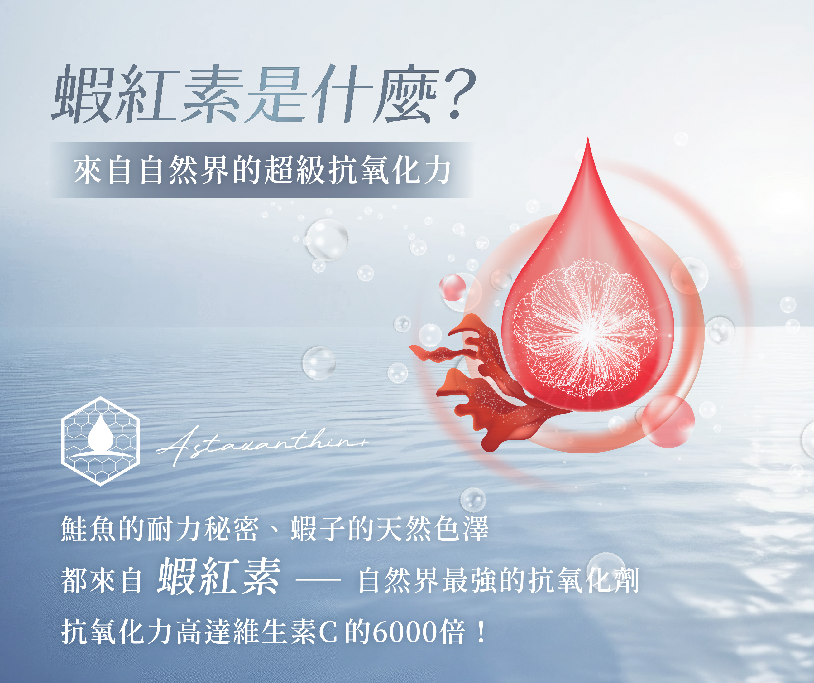 蝦紅素的12大功效與最佳補充指南｜由內而外打造健康美麗的關鍵營養素