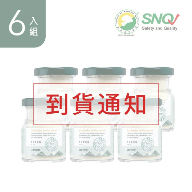 油甘鮮果粉6入