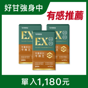 甘薑好EX牛樟芝3入