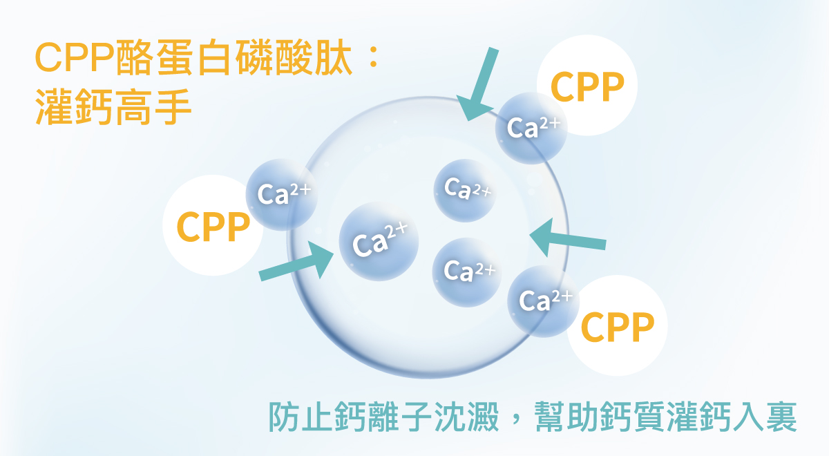 CPP扮演的角色