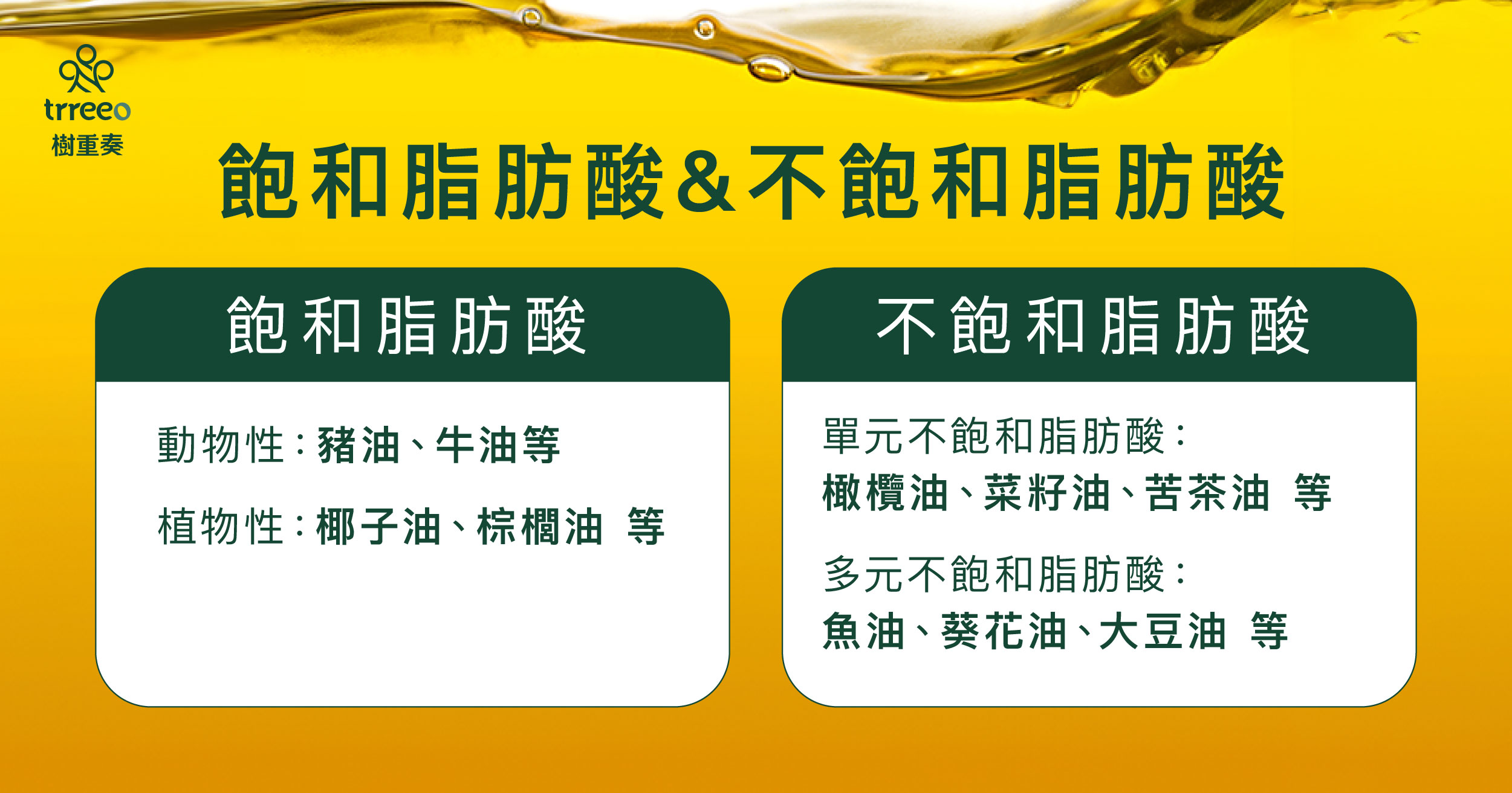 飽和不飽和脂肪酸