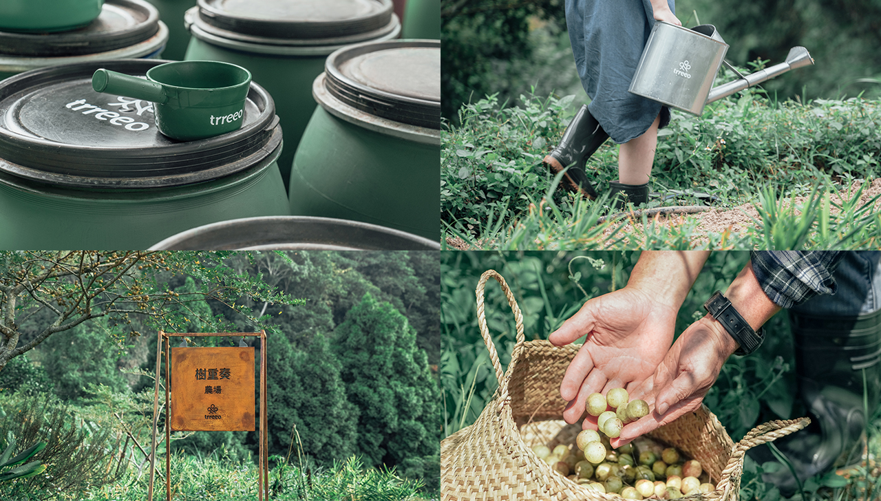 樹重奏擁有一座通過MOA有機驗證的農場