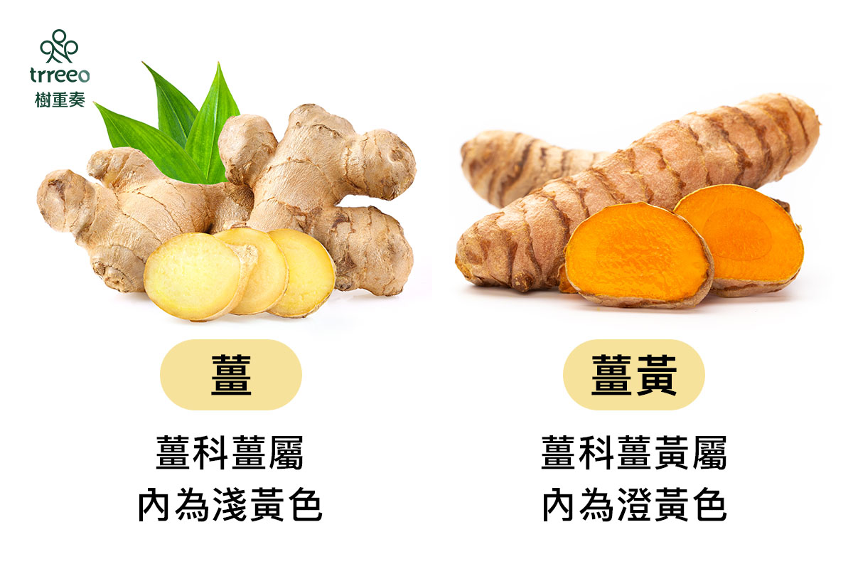 薑黃好處：養肝顧腎  男女養生善食