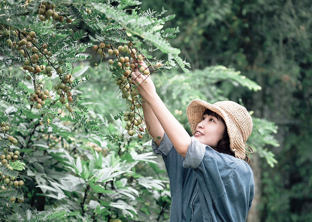 樹重奏採用酵道自然農法，不使用化肥、農藥等，堅持栽種有機自然的油甘果