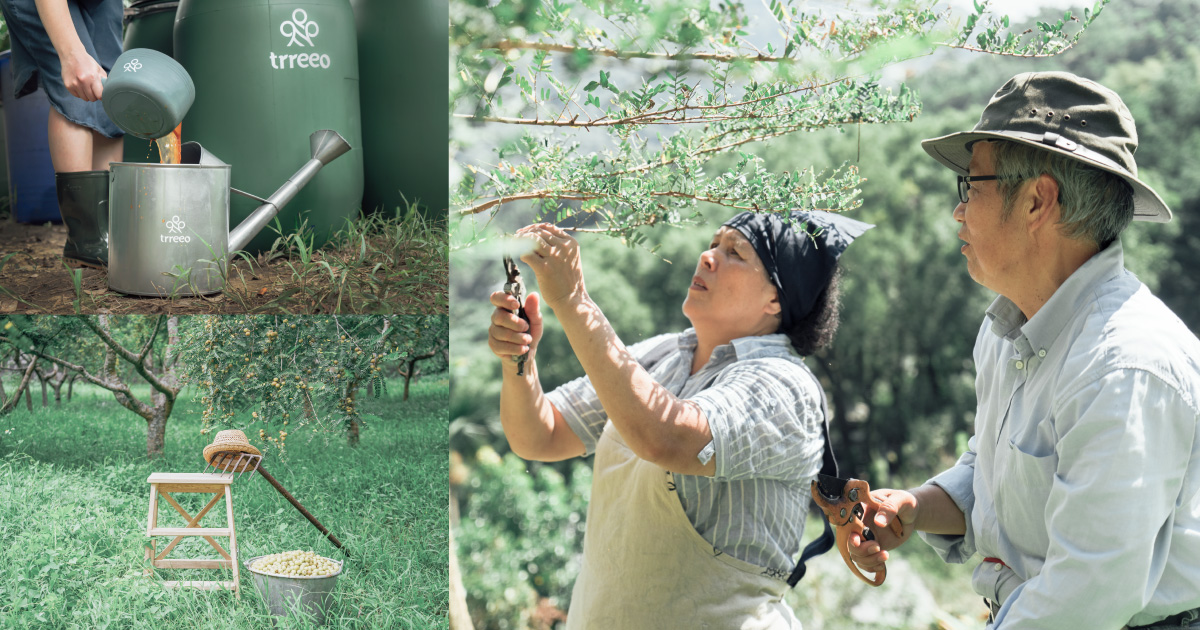 樹重奏油甘農場