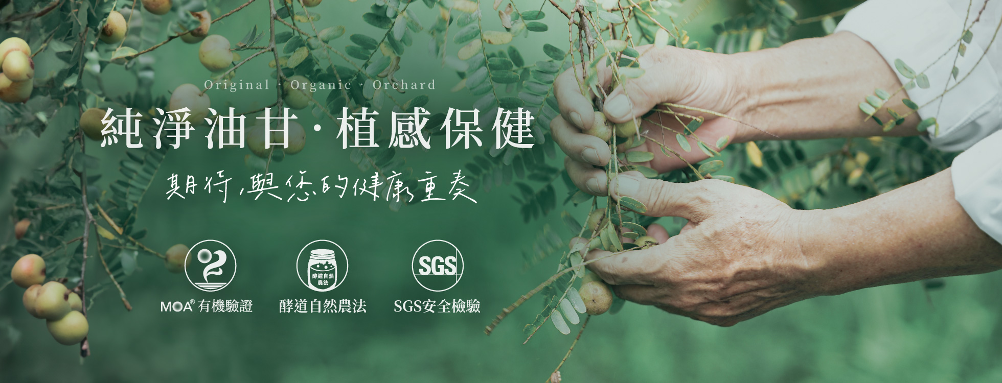 純淨油甘植感保健