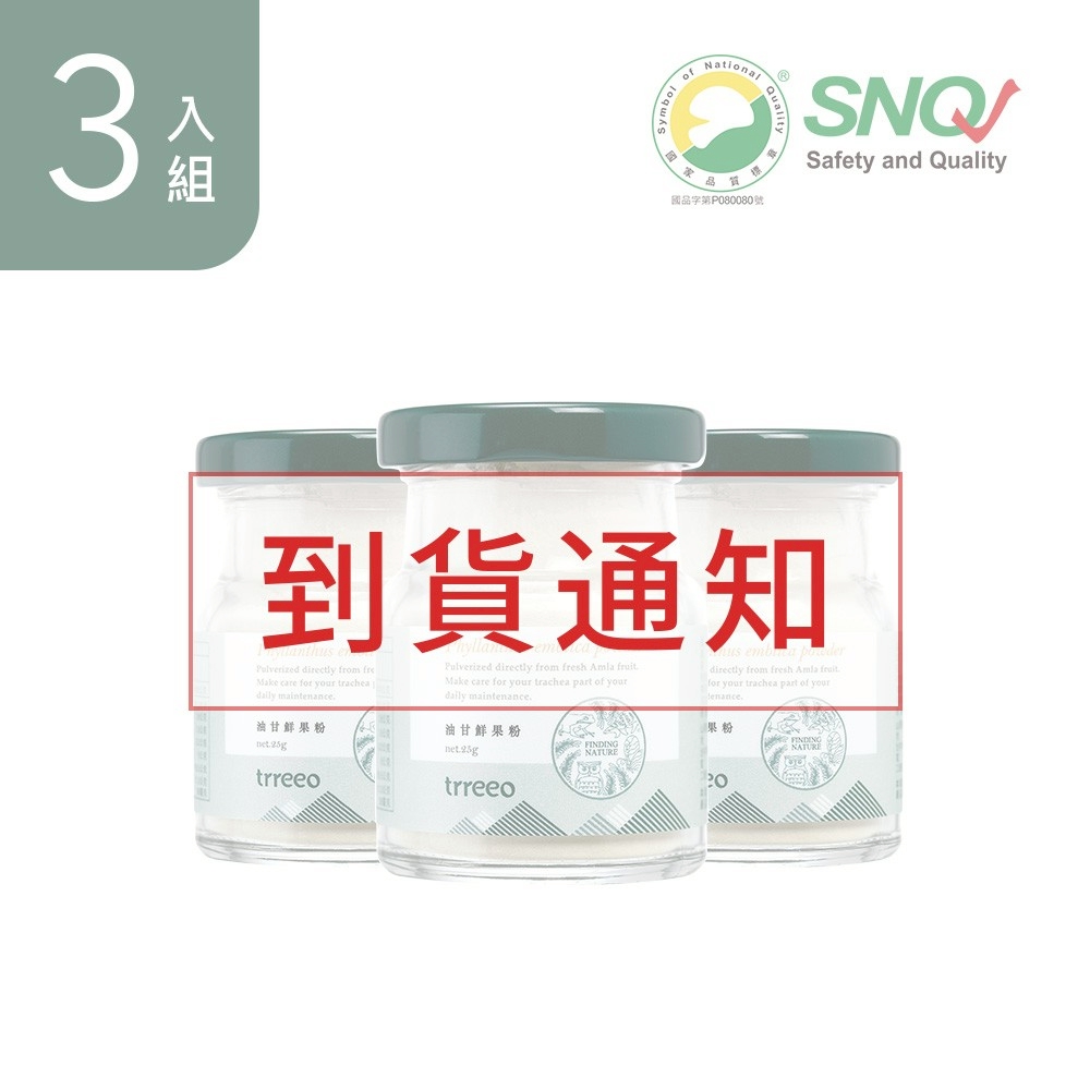 油甘鮮果粉3入