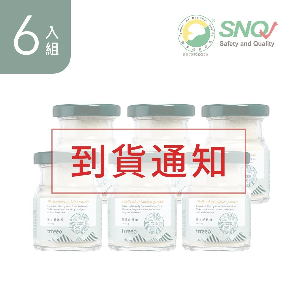 油甘鮮果粉6入