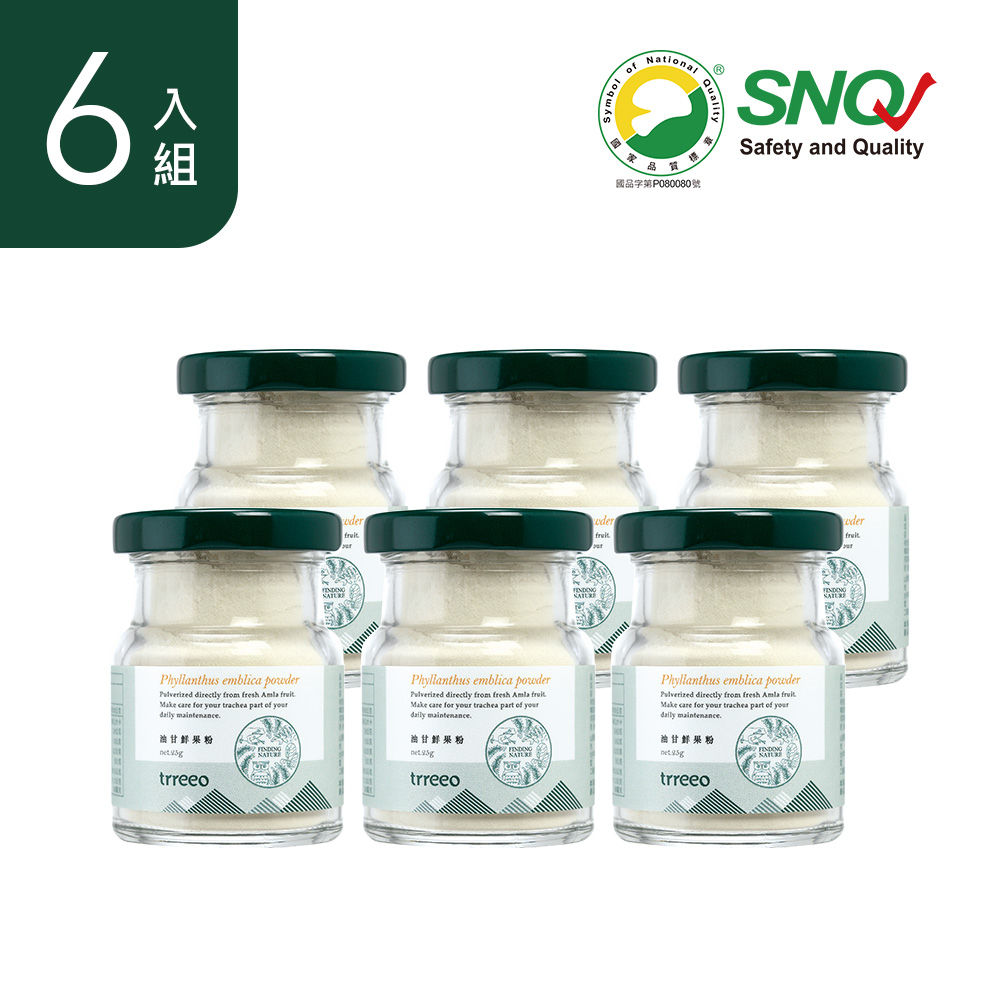 油甘鮮果粉6入