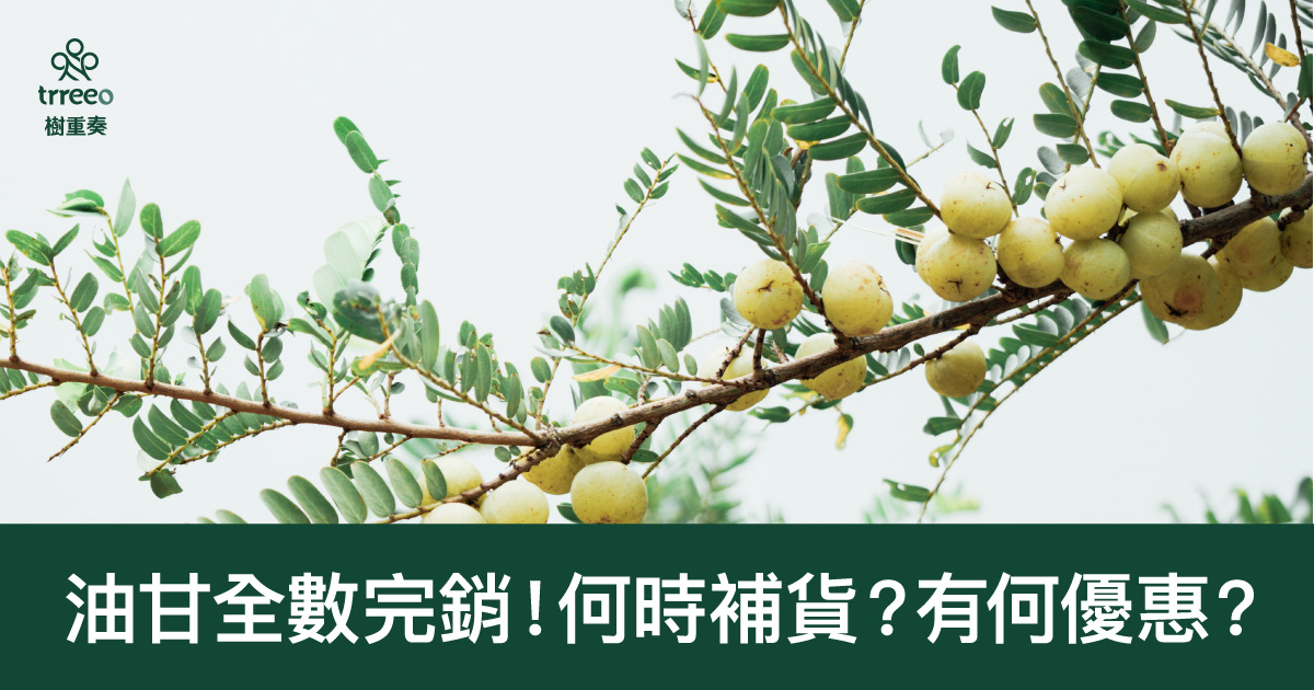 油甘全數完銷!何時補貨?有何優惠?