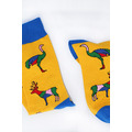 彩色動物｜長襪_3
