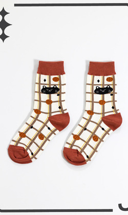 把餅乾藏在磚頭裡的黑貓貓 | 中筒襪