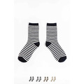 (售完)年輕條紋學家日記 | 中筒襪 四色售_4
