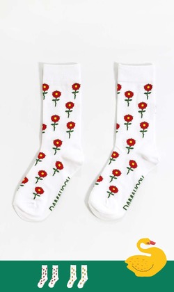 百日清純 | 長襪 兩款售