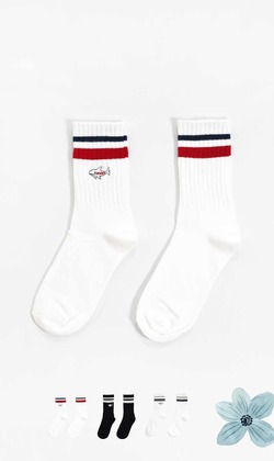 旅行莎鯊 | 中筒襪 三色售