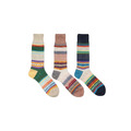 費爾島盛典 三入組 | 中筒襪_1
