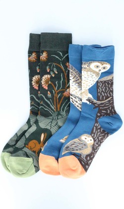 (售完)凝視夜行巨兔 二入組 | 長襪