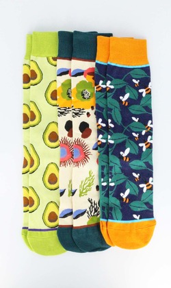 夏天乘涼，吃果子 三入組 | 長襪