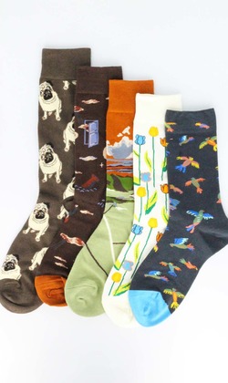 宇宙動物，星球開發 五入組 | 長襪