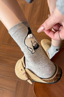 懶懶貓小蛋 五入組 | 短襪