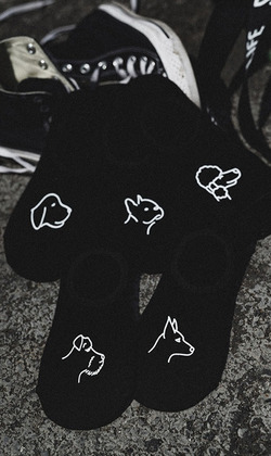 杜賓法鬥拉拉雪狗狗 五入組 兩色售 | 短襪