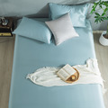 【媚格德莉MIGRATORY】單人60支天絲兩件式床包枕套組-晨曦藍_2