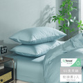 【媚格德莉MIGRATORY】60支天絲枕套二入-晨曦藍