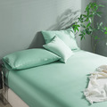 【媚格德莉MIGRATORY】雙人60支天絲三件式床包枕套組-寧湖綠_3