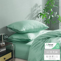 【媚格德莉MIGRATORY】60支天絲枕套二入-寧湖綠