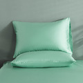 【媚格德莉MIGRATORY】60支天絲枕套二入-寧湖綠_2