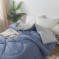 【媚格德莉MIGRATORY】雙人3D波波絨可水洗抑菌暖冬被-晨曦藍