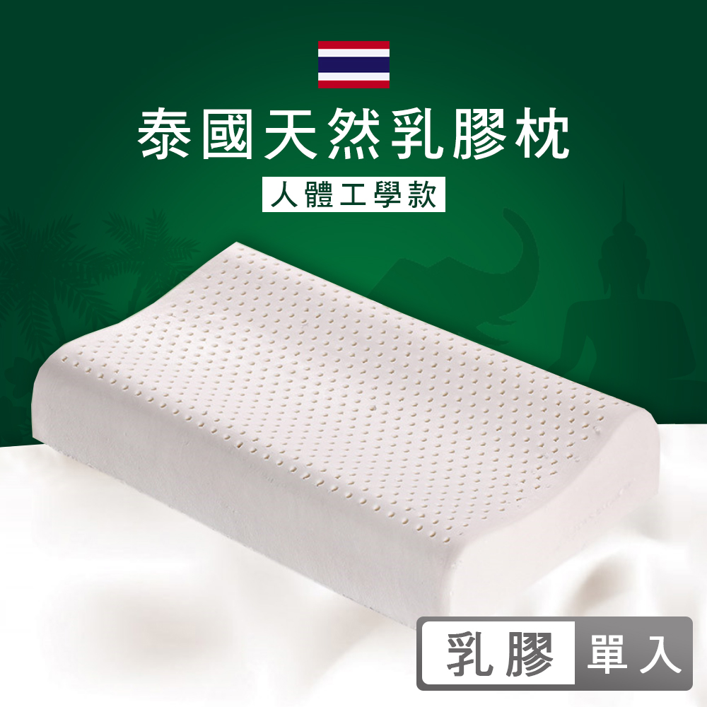 【MIGRATORY】100泰國天然乳膠人體工學枕