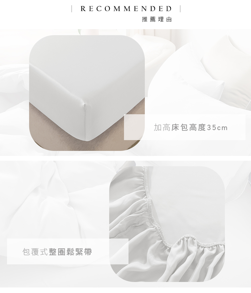 MIGRATORY 媚格德莉 - 60支天絲四件式被套床包組-白色 (加大(180x186cm))