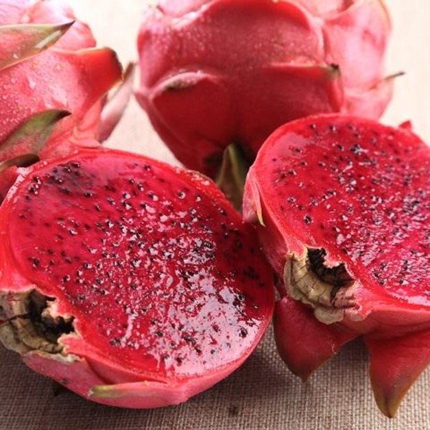 王大槌香甜紅龍果