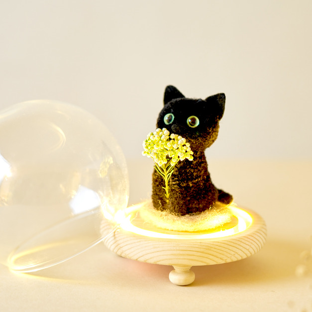 Flower cat  城鎮黑貓的祝福