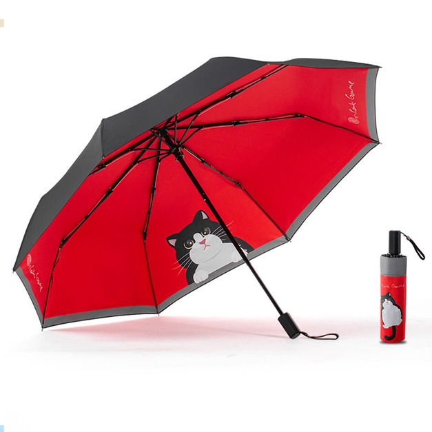 Cat umbrella  躲貓貓